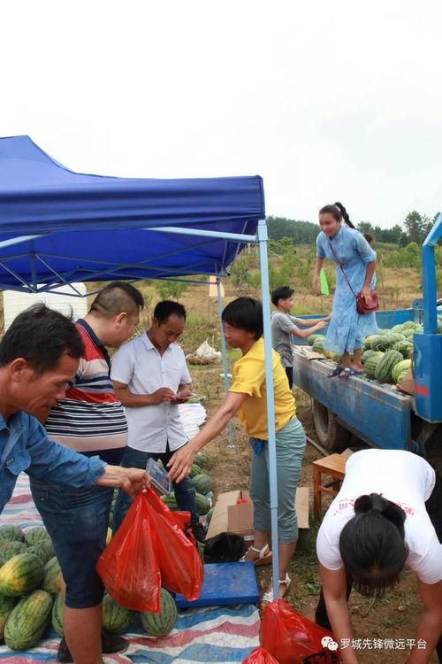 南靖吃瓜群众,揭秘当地独特美食文化