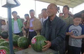 鹿泉吃瓜群众视频曝光,揭秘事件背后真相