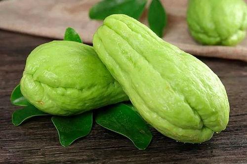 孕妇可以吃沙白瓜,沙白瓜的营养益处与食用指南