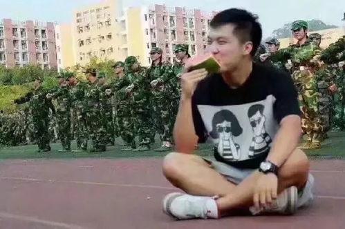 吃瓜群众军哥,揭秘吃瓜群众的趣味生活