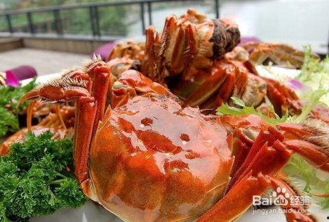 螃蟹吃高瓜吗,探究它们对高瓜的喜爱程度