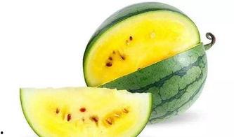 岑岑吃瓜自己,揭秘娱乐圈那些不为人知的幕后故事